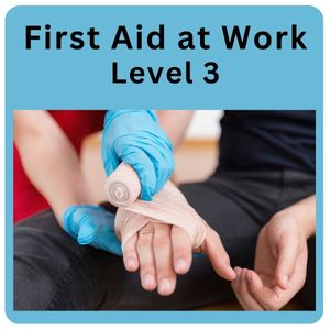 First Aid at Work Level 3 Online Course - CPD Accredited