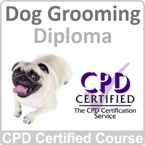 Dog Grooming Online Training Course