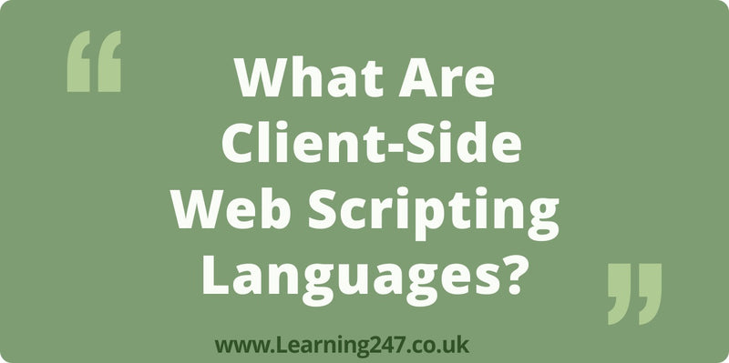 What Are Client-Side Web Scripting Languages?