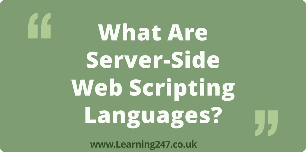 What Are Server-Side Web Scripting Languages?