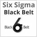 Six Sigma Black Belt Online Training Course