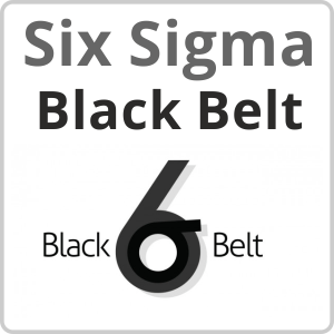 Six Sigma Black Belt Online Training Course