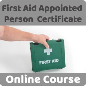 First Aid Appointed Person Certificate Training Course