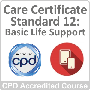 Care Certificate Standard 12 Basic Life Support CPD Accredited Online Course