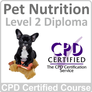Pet Nutrition Level 2 Diploma Online Training Course