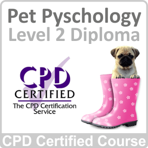 Pet Psychology Level 2 Diploma Online Training Course