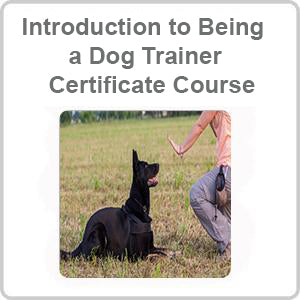 Introduction to Being a Dog Trainer Certificate Course