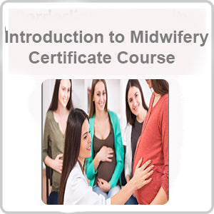 Introduction to Midwifery Certificate Course