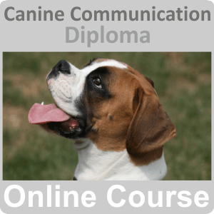 Canine Communication Diploma Training Course