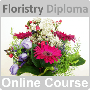 Floristry Academy Diploma Training Course