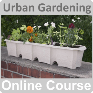 Urban Gardening Training Course