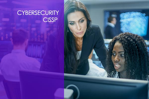 CISSP 2020 Certified Information Systems Security Professional Online Course